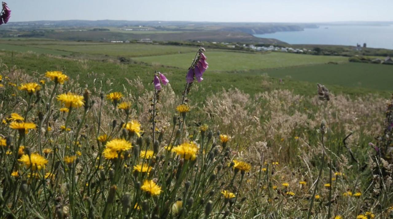 Beacon Country House Hotel & Luxury Shepherd Huts St Agnes  Buitenkant foto